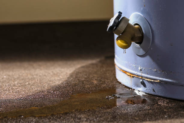 Best Sewage cleanup and water damage restoration  in Melbourne, AR