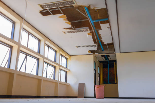 Best Water damage contractors near me  in Melbourne, AR