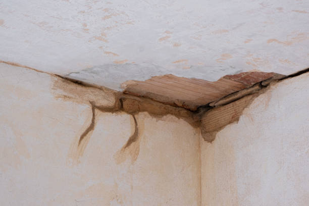 Best Commercial water damage restoration  in Melbourne, AR