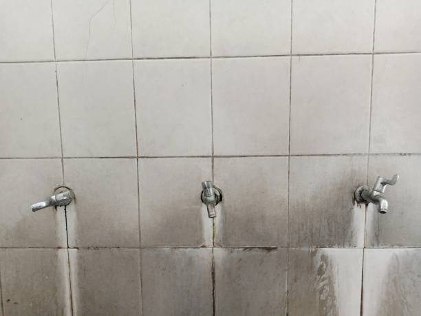 Best 24-hour water damage restoration  in Melbourne, AR