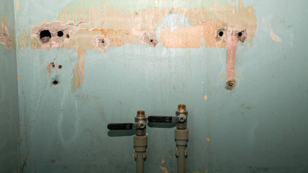 Best Water damage cleanup near me  in Melbourne, AR