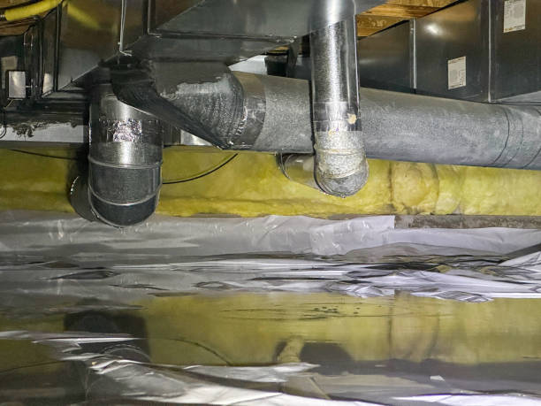 Best 24/7 water damage repair  in Melbourne, AR