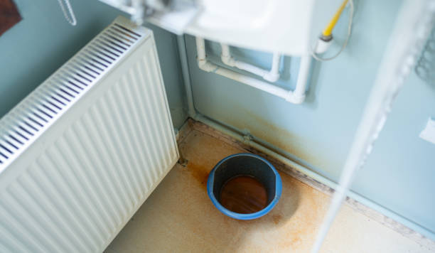 Best Flood restoration services  in Melbourne, AR