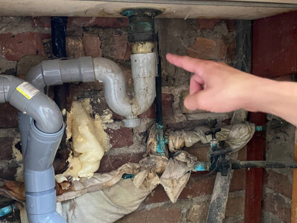 Best Professional water damage repair  in Melbourne, AR