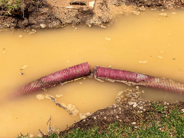 Best Carpet water damage restoration  in Melbourne, AR