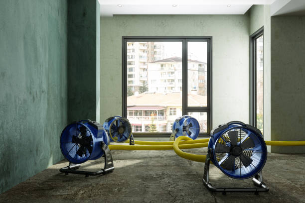 Best Water damage cleanup near me  in Melbourne, AR